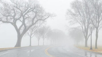 foggy road